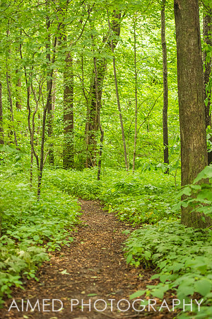 GSP 2021 - Site-87.JPG
