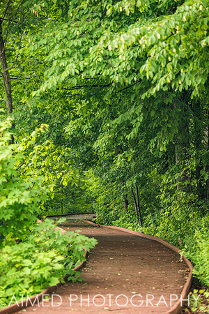 GSP 2021 - Site-71.JPG