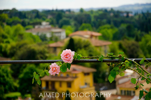 Travel Photographer