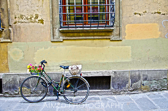 Travel Photographer