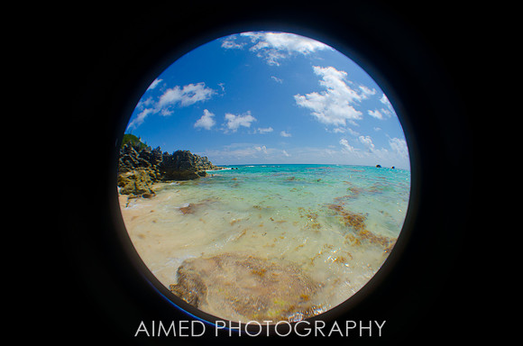 Travel Photographer