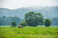 WhiteWaterCanal-3.JPG