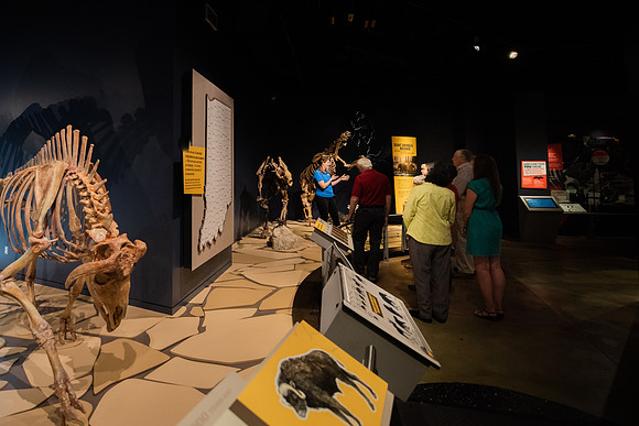 Walking Tour 2021-48.JPG