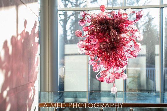 Indianapolis Event Photographer