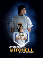 Baseball Banners - 1
