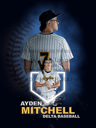 Baseball Banners - 1