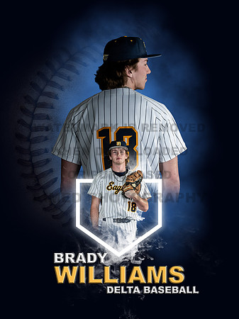 Baseball Banners - 1