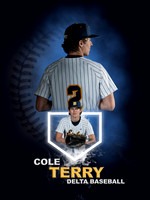Baseball Banners - 1