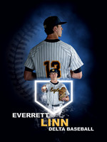 Baseball Banners - 1