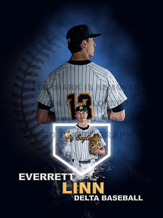 Baseball Banners - 1