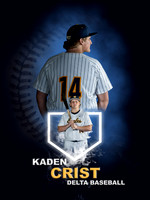 Baseball Banners - 1
