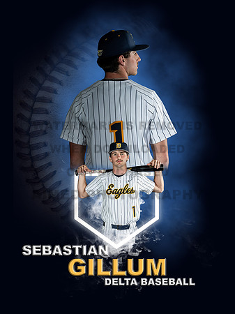 Baseball Banners - 1