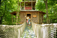 June - Tree Top 2022