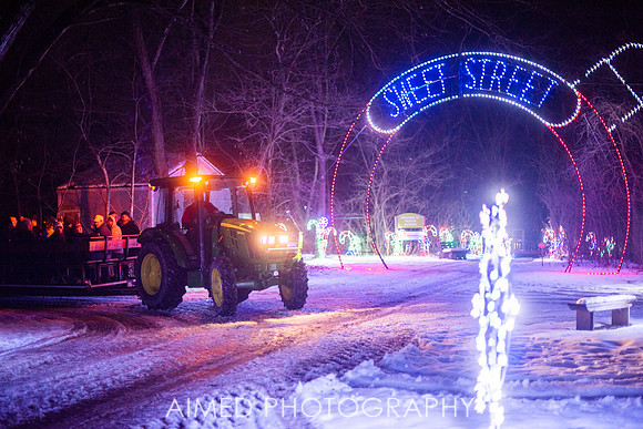AIMED 2019 -17.JPG