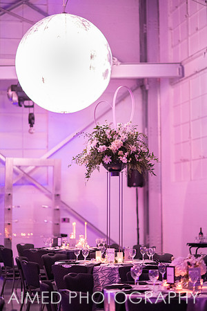 Indianapolis Event Photographer