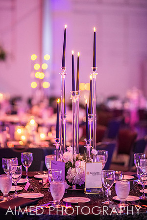 Indianapolis Event Photographer