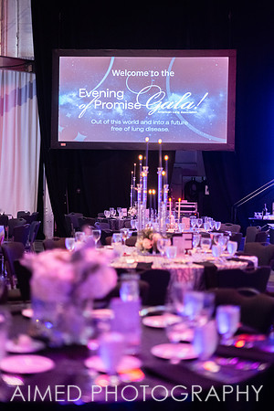 Indianapolis Event Photographer