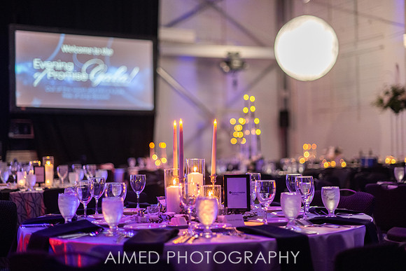Indianapolis Event Photographer