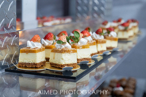 Indianapolis Event Photographer