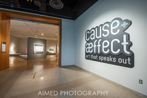 Cause + Effect 2020-63.JPG
