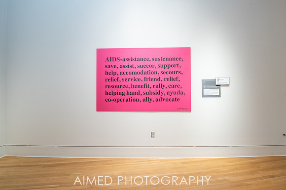 Cause + Effect 2020-31.JPG