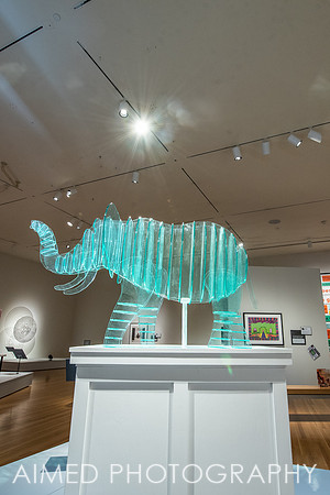 Cause + Effect 2020-50.JPG