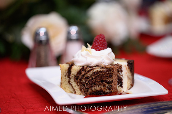 Indianapolis Event Photographer