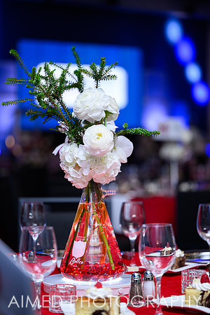 Indianapolis Event Photographer