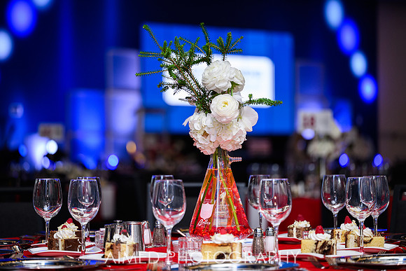 Indianapolis Event Photographer