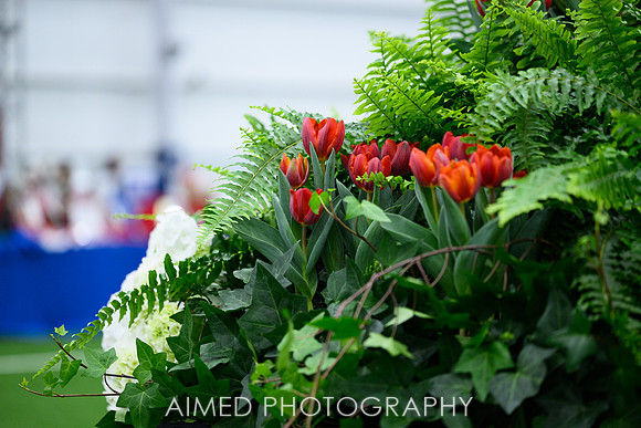 Indianapolis Event Photographer