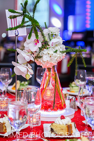 Indianapolis Event Photographer