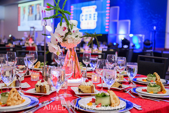 Indianapolis Event Photographer