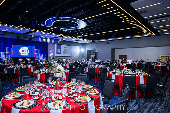 Indianapolis Event Photographer