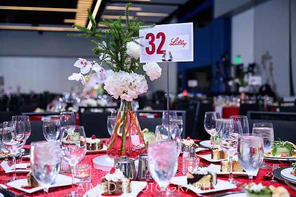 Indianapolis Event Photographer