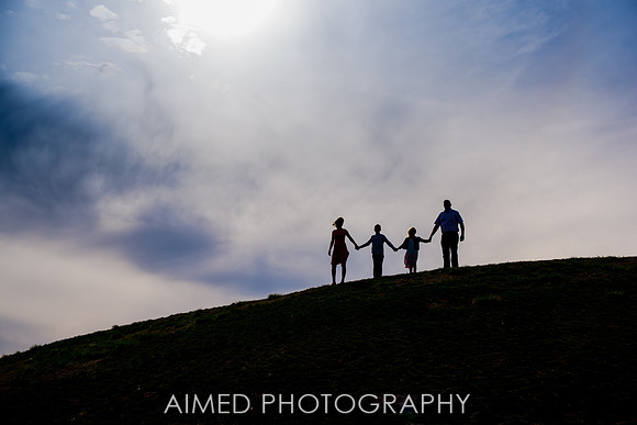 AIMED-90.JPG
