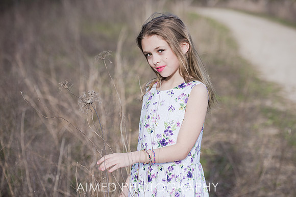 AIMED-11.JPG