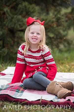 AIMED-45.JPG