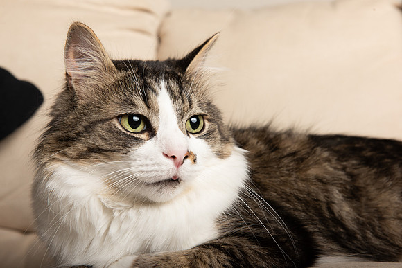 AIMED 2-25.JPG