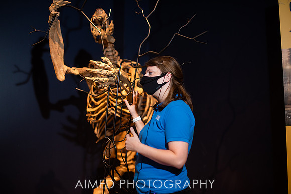 ISM Tour 2021 - Mask-16.JPG