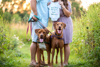 Baby Announcement