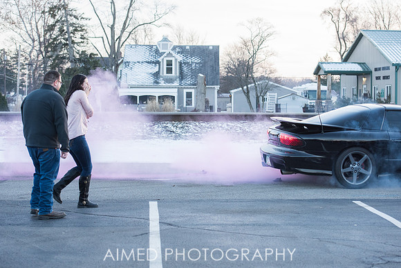 AIMED-4.JPG