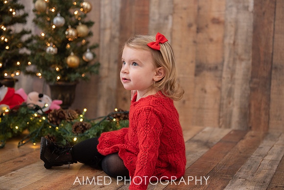 AIMED DEC. 2020-24.jpg