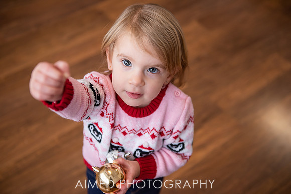 AIMED DEC. 2020-6.jpg