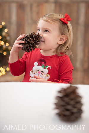 AIMED DEC. 2020-60.jpg