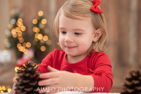 AIMED DEC. 2020-64.jpg