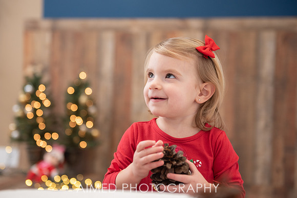 AIMED DEC. 2020-61.jpg