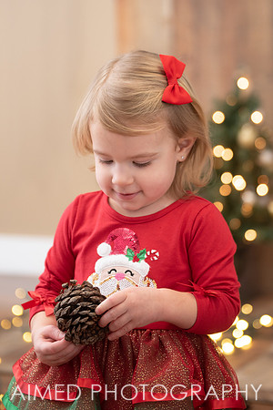 AIMED DEC. 2020-59.jpg