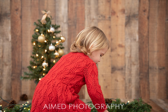 AIMED DEC. 2020-21.jpg