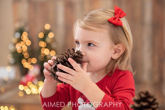 AIMED DEC. 2020-63.jpg