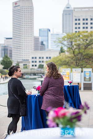AIMED 2-12.JPG
